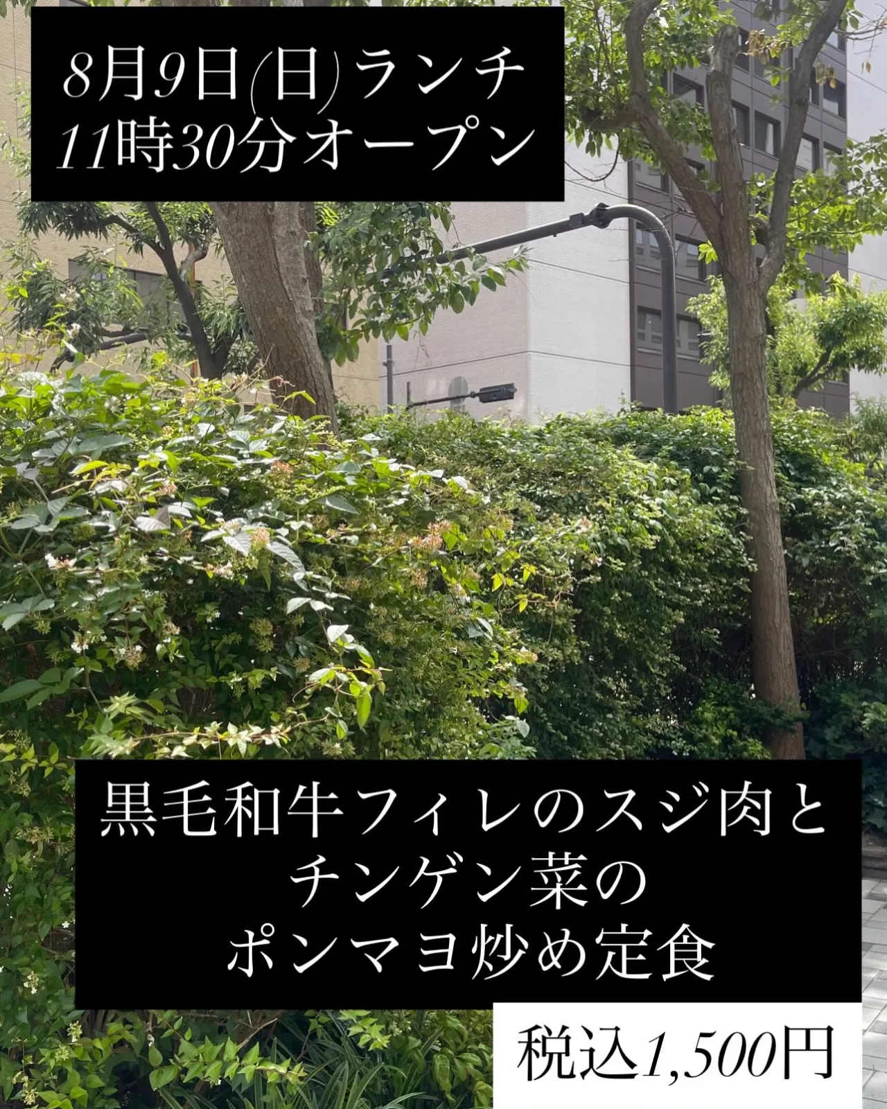 8月9日(日)ランチ11時30分オープン